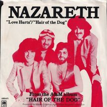 Nazareth Love Hurts / Hair Of The Dog A&M US 1671-S 204882 ROCK POP ロック ポップ レコード 7インチ 45_画像2