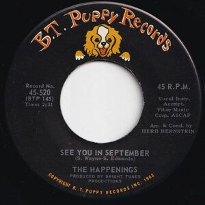 Happenings See You In September / He Thinks He's A Hero B.T. Puppy US 45-520 205002 ROCK POP ロック ポップ レコード 7インチ 45