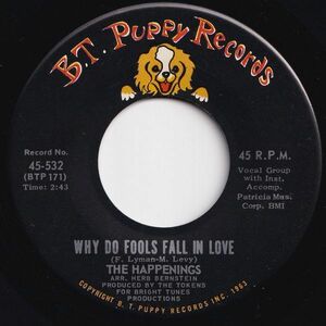 Happenings Why Do Fools Fall In Love / When The Summer Is Through B.T. Puppy US 45-532 205096 ロック ポップ レコード 7インチ 45