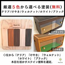 大工の爬虫類ケージ「塗装タイプ」90×45×45cm◇送料無料◇サイズ価格表◇床板＆塗装カラー選択無料 #爬虫類ケージ_画像2