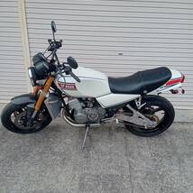 RZ250 カスタム車 _画像3