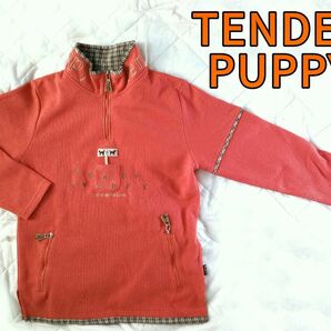 TENDER PUPPY お散歩トレーナー