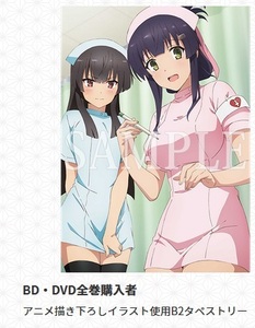 刀使ノ巫女 Blu-ray/DVD WonderGOO 全巻 購入 特典 アニメ 描き下ろし イラスト 使用 B2 タペストリー 【十条 姫和 柳瀬 舞衣 ワンダーグー