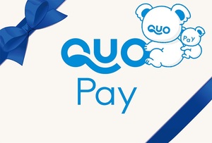 【取引ナビ通知 匿名】QUOカードPay 50円分 