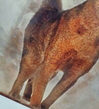 ブリキ看板　HANAKO　レトロ　猫の看板　T24　アビシニアン　ウェルカムボード_画像6
