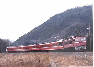 古い鉄道写真『EF81 43』 L判サイズ 昭和 電車 120104