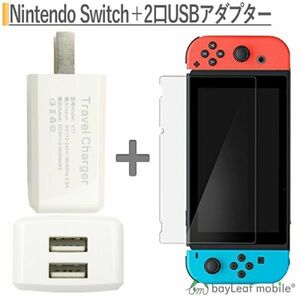 Nintendo Switch 液晶画面保護ガラスフィルム + USB電源アダプタ USBポート2口 セット