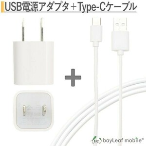 USB電源アダプタ + Type-C充電ケーブルセット USBポート1口 25cm 短め ホワイト