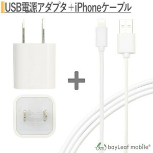 USB電源アダプタ + iPhone充電ケーブルセット USBポート1口 3m ホワイト