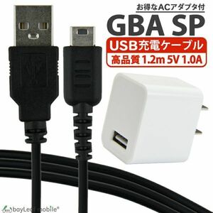  nintendo Game Boy Advance SP GBA nintendo DS charge cable + AC adaptor set approximately 1.2m