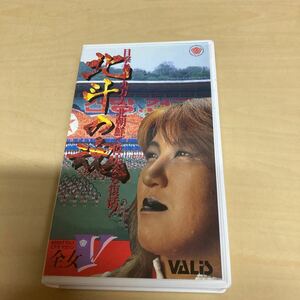 VHS 北斗の魂　女子プロレス