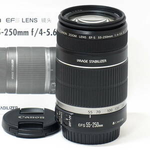 Canon EF-S 55-250mm F4-5.6 IS for EOS APS-C 7D II 90D 80D 9000D Kiss X10i X10 X9 X7 EF-EOS M EF-EOS R 最もポピュラーな望遠ズーム！