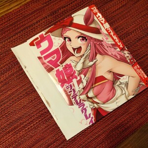 ヤングジャンプ　ウマ娘　シンデレラグレイ　コミックカバー コミック　13巻　付録