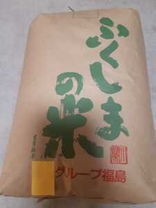 令和５年度 福島県中通り産 こしひかり 白米 20kg　色彩選別　農家直送　送料無料　