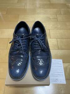 COLE HAAN NEW YORK CITY LUNARGRAND LONG WING BLK IRS CHMBRY コールハーン ルナグランド 革靴 ウイングチップ ネイビー レア シューズ