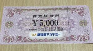 早稲田アカデミー　株主優待券　5000円