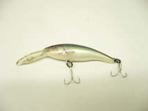 即決 未使用 Rapala ラパラ テールダンサー 6.5cm 管理5_画像1