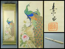 作者不詳 素風 在銘 孔雀牡丹図 日本画 絹本 軸装 掛軸 OK4676_画像1