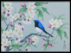Art hand Auction Seiji Inoue, Cherry Blossoms and Small Birds, F4, Japanese Painting, Board, Framed by Suda Naka, Former Fellow of the Japan Art Academy, OK3529, Painting, Japanese painting, Flowers and Birds, Wildlife