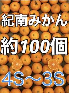 y169 紀南みかん 100個ぐらい 箱込み5kg 小玉ミニサイズ フルーツショップキルトパッチ店　和歌山県(22)　