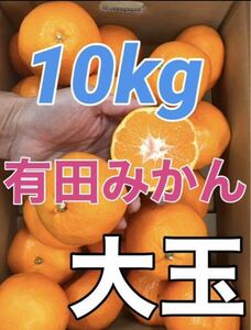 y175 有田みかん 大玉（肉まんサイズ） 箱込み10kg 和歌山県産 フルーツショップキルトパッチ店(22)