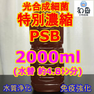 光合成細菌PSB2000ml 送料安 バクテリア めだか らんちゅう 金魚 熱帯魚 ミジンコゾウリムシ培養効果抜群クロレラ