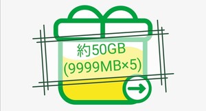 mineo パケットギフト 約50GB 9999MB×5 マイネオ