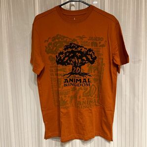 ディズニー アニマルキングダム　M/古着 半袖 Tシャツ メンズ