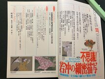 ｊ▼*　美術手帖　1994年9月号　特集・不思議！若冲の細密描写　動植綵絵　全30幅の織りなす驚異の世界　美術出版社/N-E23_画像4