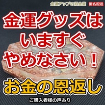 金運グッズはいますぐやめなさい！ お金の恩返し 金運風水八角形オルゴナイト13cm（お金・財布・スマホ浄化用）【金運アップの招金堂】0903_画像1