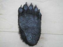 本物 ヒグマの足 ペン立て 熊の手 ひぐま 剥製 羆 北海道 熊爪　北海道 _画像2