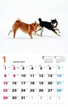 しばと暮らせば♪柴犬カレンダー 2023_画像5