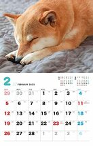 しばと暮らせば♪柴犬カレンダー 2023_画像6