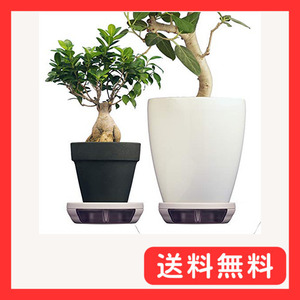 ポットキーパー【２個セット】観葉植物 鉢 鉢皿 清潔グッズ 掃除を簡単に フロスティグレー