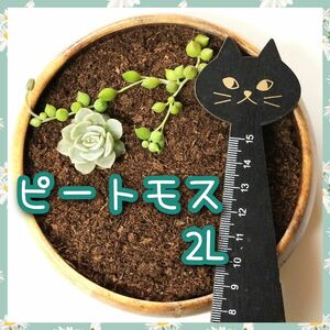 土壌改良材　ピートモス（無調整）　約2㍑