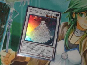 遊戯王 QCDB【ガーデン・ローズ・メイデン】スーパー クォーターセンチュリーデュエリストボックス QUARTER CENTURY DUELIST BOX