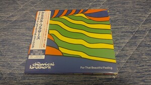 国内盤 / The Chemical Brothers ケミカル・ブラザーズ / For That Beautiful Feeling