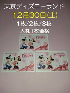 12月30日(土)　東京ディズニーランド　パスポート　1枚/2枚/3枚　入札1枚価格　チケット　１デー　12/30