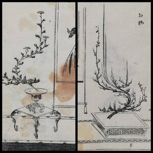 遠州流 華道 花道 生花 生け花 宗家 検索⇒版画 木版摺 画譜 芦田一寿 小堀政一 貞松斎一馬 春草庵一枝 本松斎一 北大路魯山人 朱印譜 武家