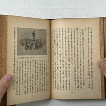 蟲界の驚異 松村松年 春日書房 1948年 ☆ 昆虫 昭和初期 資料　B9y_画像6