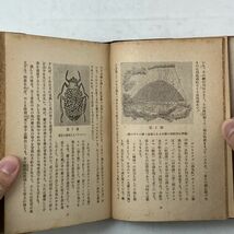 蟲界の驚異 松村松年 春日書房 1948年 ☆ 昆虫 昭和初期 資料　B9y_画像5