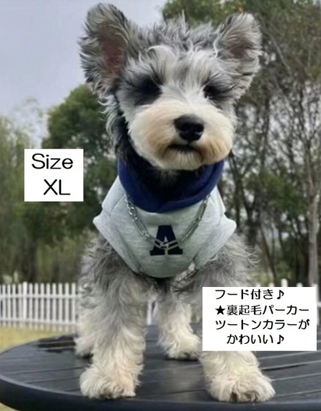 ■新品■犬■裏起毛パーカー【XL】【グレー×ネイビー】人気　ツートン　かっこいい　 防寒　冬　かわいい　おしゃれ　ペット服