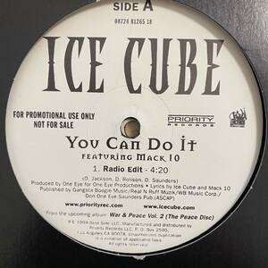 【同盤2枚セット】 Ice Cube Feat. Mack 10 - You Can Do It / 同盤2枚セット / US Promo 12’ レコード / 廃盤 / アイスキューブ DJ Use