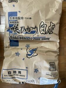 錦鯉との同梱可　咲ひかり　白虎　量り売り　1キロ　Mサイズ　浮上。