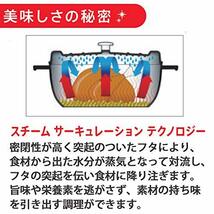 フィスラー (Fissler) ホーロー 両手鍋 カレン ココット 18cm ピンク 【日本正規販売品】 EMP-C182N001P 鋳物_画像3