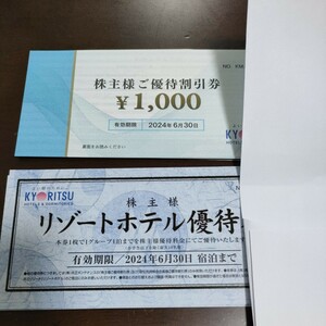 送料無料 最新 共立メンテナンス　株主優待券　25000円分 ＋ リゾートホテル優待券 10枚　送料無料　25,000円 ドーミーイン 株主優待 