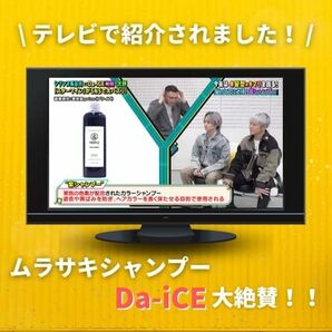 サイズ: 240ミリリットル x 1 &PURPLEアンドパープル紫シャンプー250ml カラーシャンプー サロン オーガニックハの画像3