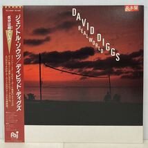 JAZZ/DAVID DIGGS (Key) デイビッド・ディグス/ REALWORLD (LP) 国内盤 白ラベル・プロモ/AOR (g432)_画像2