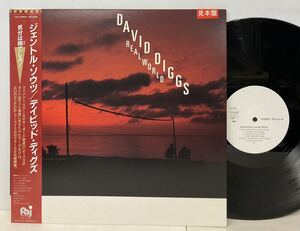 JAZZ/DAVID DIGGS (Key) デイビッド・ディグス/ REALWORLD (LP) 国内盤 白ラベル・プロモ/AOR (g432)