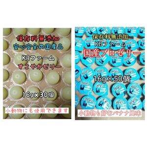 国産ゼリー KBファーム すこやかゼリー 16g 30個 プロゼリー 16g 50個 カブトムシ クワガタ 昆虫